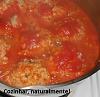 Alm�ndegas de Soja em Refogado de Tomate-dscn0605.jpg