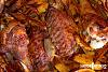 Asas de Peru no Forno � Padeiro-asas-peru-padeiro-4.jpg