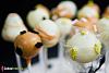Cake Pops-popcakes-4.jpg