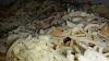 Massa com Atum Gratinada-14039985_1732198213711022_7690816719958260024_n.jpg