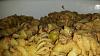 Massa com Atum Gratinada-14046031_1732198290377681_5589410541650117543_n.jpg
