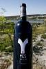 ..YES - WE CAN - Reserva 07 (2007)-imagesca5kpzhp.jpg