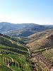 Portugal (Regi�es Demarcadas)-4811519981_cd69e6872e.jpg
