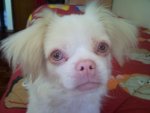 Avatar de M�rio Saraiva
