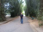 Avatar de Luiz Gueiros Bezerra